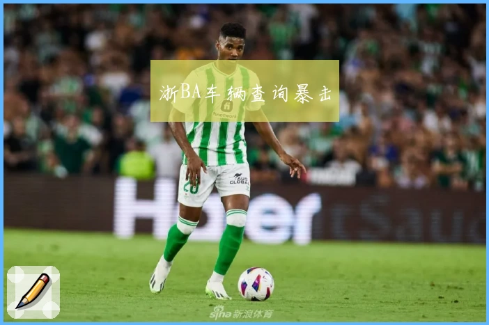 浙BA车辆查询暴击