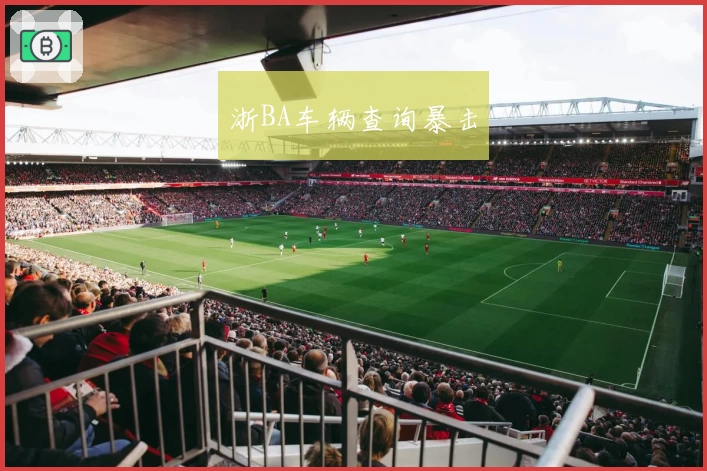 浙BA车辆查询暴击