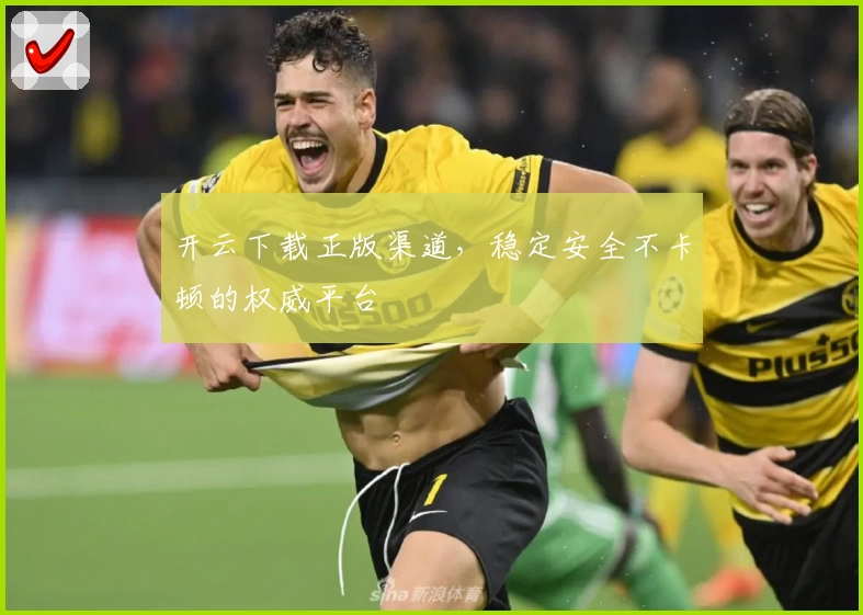 开云下载正版渠道,稳定安全不卡顿的权威平台