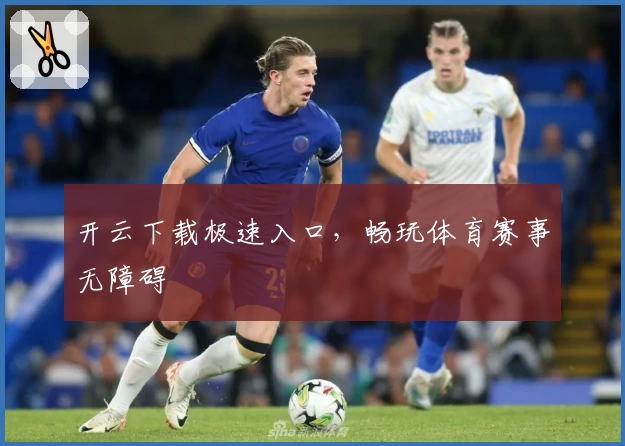 开云下载极速入口,畅玩体育赛事无障碍